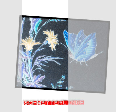 Schmetterlinge