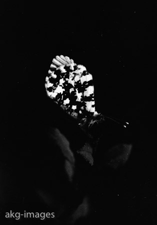 00218087